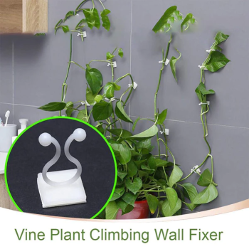 WALL PLANT CLIMBING CLIP WIDELY USED FOR HOLDING PLANTS AND POULTRY PURPOSES AND ALL.